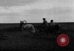 Image of Ukraine civilians Ukraine, 1943, second 53 stock footage video 65675045861