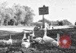 Image of Ukraine civilians Ukraine, 1943, second 1 stock footage video 65675045862
