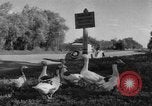 Image of Ukraine civilians Ukraine, 1943, second 3 stock footage video 65675045862