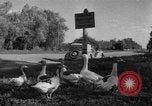 Image of Ukraine civilians Ukraine, 1943, second 4 stock footage video 65675045862