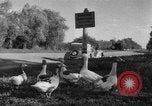 Image of Ukraine civilians Ukraine, 1943, second 5 stock footage video 65675045862