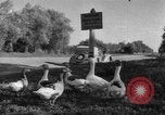 Image of Ukraine civilians Ukraine, 1943, second 6 stock footage video 65675045862