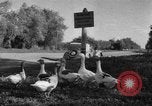 Image of Ukraine civilians Ukraine, 1943, second 7 stock footage video 65675045862