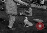 Image of Ukraine civilians Ukraine, 1943, second 32 stock footage video 65675045862