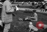 Image of Ukraine civilians Ukraine, 1943, second 34 stock footage video 65675045862