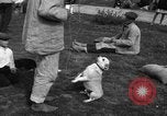 Image of Ukraine civilians Ukraine, 1943, second 38 stock footage video 65675045862