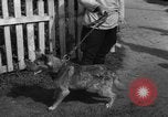 Image of Ukraine civilians Ukraine, 1943, second 55 stock footage video 65675045862