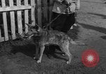 Image of Ukraine civilians Ukraine, 1943, second 56 stock footage video 65675045862