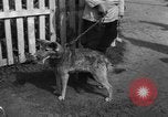 Image of Ukraine civilians Ukraine, 1943, second 57 stock footage video 65675045862