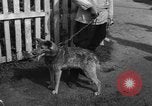 Image of Ukraine civilians Ukraine, 1943, second 58 stock footage video 65675045862