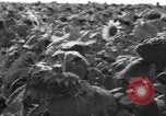 Image of Ukraine civilians Ukraine, 1943, second 9 stock footage video 65675045864