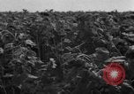 Image of Ukraine civilians Ukraine, 1943, second 13 stock footage video 65675045864