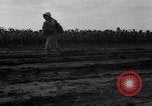 Image of Ukraine civilians Ukraine, 1943, second 14 stock footage video 65675045864