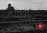 Image of Ukraine civilians Ukraine, 1943, second 16 stock footage video 65675045864