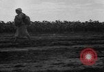 Image of Ukraine civilians Ukraine, 1943, second 17 stock footage video 65675045864