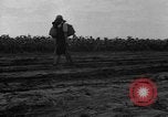 Image of Ukraine civilians Ukraine, 1943, second 24 stock footage video 65675045864