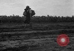 Image of Ukraine civilians Ukraine, 1943, second 25 stock footage video 65675045864