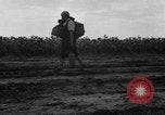 Image of Ukraine civilians Ukraine, 1943, second 27 stock footage video 65675045864