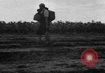 Image of Ukraine civilians Ukraine, 1943, second 28 stock footage video 65675045864