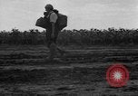 Image of Ukraine civilians Ukraine, 1943, second 29 stock footage video 65675045864