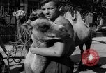 Image of German soldiers Ukraine, 1943, second 25 stock footage video 65675045866