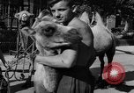 Image of German soldiers Ukraine, 1943, second 27 stock footage video 65675045866