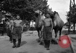 Image of German soldiers Ukraine, 1943, second 30 stock footage video 65675045866