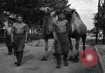 Image of German soldiers Ukraine, 1943, second 31 stock footage video 65675045866