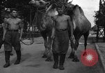 Image of German soldiers Ukraine, 1943, second 32 stock footage video 65675045866
