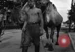 Image of German soldiers Ukraine, 1943, second 34 stock footage video 65675045866