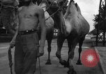 Image of German soldiers Ukraine, 1943, second 35 stock footage video 65675045866