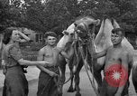 Image of German soldiers Ukraine, 1943, second 62 stock footage video 65675045866
