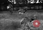 Image of Ukraine countryside Ukraine, 1943, second 9 stock footage video 65675045867