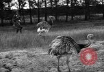 Image of Ukraine countryside Ukraine, 1943, second 13 stock footage video 65675045867