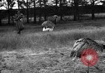 Image of Ukraine countryside Ukraine, 1943, second 15 stock footage video 65675045867