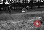 Image of Ukraine countryside Ukraine, 1943, second 16 stock footage video 65675045867