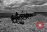 Image of Ukraine civilians Ukraine, 1943, second 3 stock footage video 65675045868