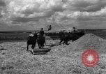 Image of Ukraine civilians Ukraine, 1943, second 4 stock footage video 65675045868