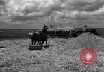 Image of Ukraine civilians Ukraine, 1943, second 5 stock footage video 65675045868