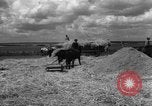 Image of Ukraine civilians Ukraine, 1943, second 6 stock footage video 65675045868