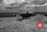Image of Ukraine civilians Ukraine, 1943, second 7 stock footage video 65675045868