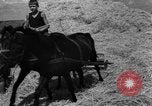Image of Ukraine civilians Ukraine, 1943, second 11 stock footage video 65675045868