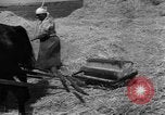 Image of Ukraine civilians Ukraine, 1943, second 13 stock footage video 65675045868