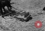 Image of Ukraine civilians Ukraine, 1943, second 15 stock footage video 65675045868