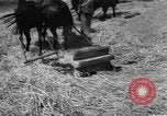 Image of Ukraine civilians Ukraine, 1943, second 16 stock footage video 65675045868