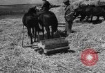 Image of Ukraine civilians Ukraine, 1943, second 17 stock footage video 65675045868