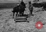 Image of Ukraine civilians Ukraine, 1943, second 18 stock footage video 65675045868