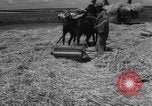 Image of Ukraine civilians Ukraine, 1943, second 19 stock footage video 65675045868