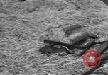 Image of Ukraine civilians Ukraine, 1943, second 22 stock footage video 65675045868