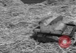 Image of Ukraine civilians Ukraine, 1943, second 23 stock footage video 65675045868